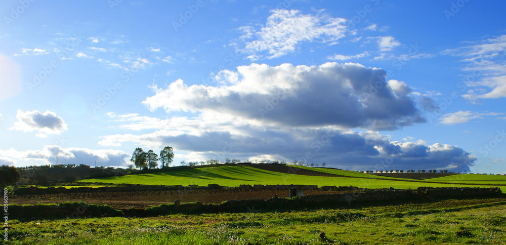 Beautiful green landscape with clouds on the blue sky (5)