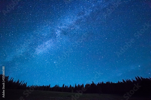 Blue dark night sky with many stars above field of trees. Yellowstone park. Milkyway cosmos background