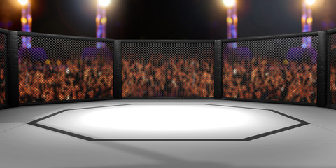 Ingelijste posters Vechtsport MMA kooi arena verlicht  © neillockhart