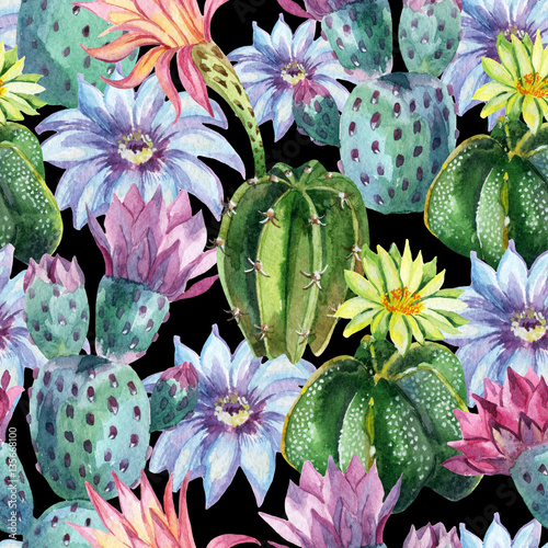 Naklejka moda egzotyczny natura roślina meksyk