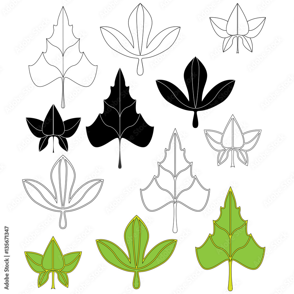 Collection silhouettes of leaves. Collection silhouettes of leaves.