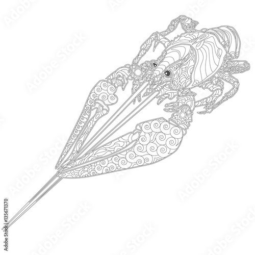  Ornate zentangle crawfish drawing