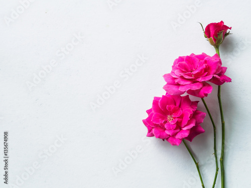 Lovely flowers on white desk background. Festive greeting card
