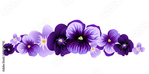 Fototapeta Naklejka Na Ścianę i Meble -  spring flowers  pansies
