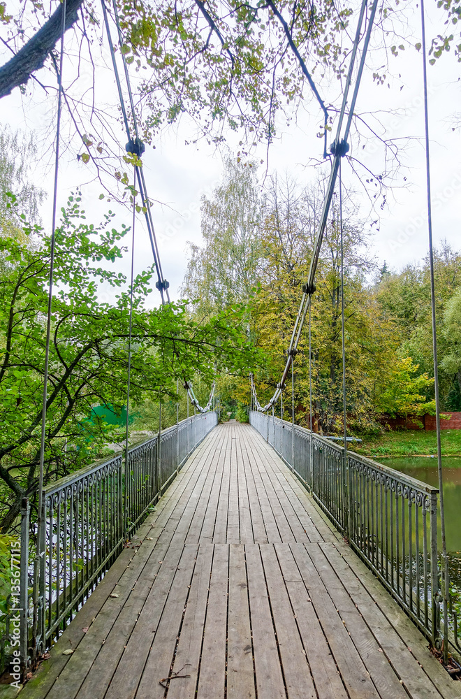 Obraz premium The bridge through the river