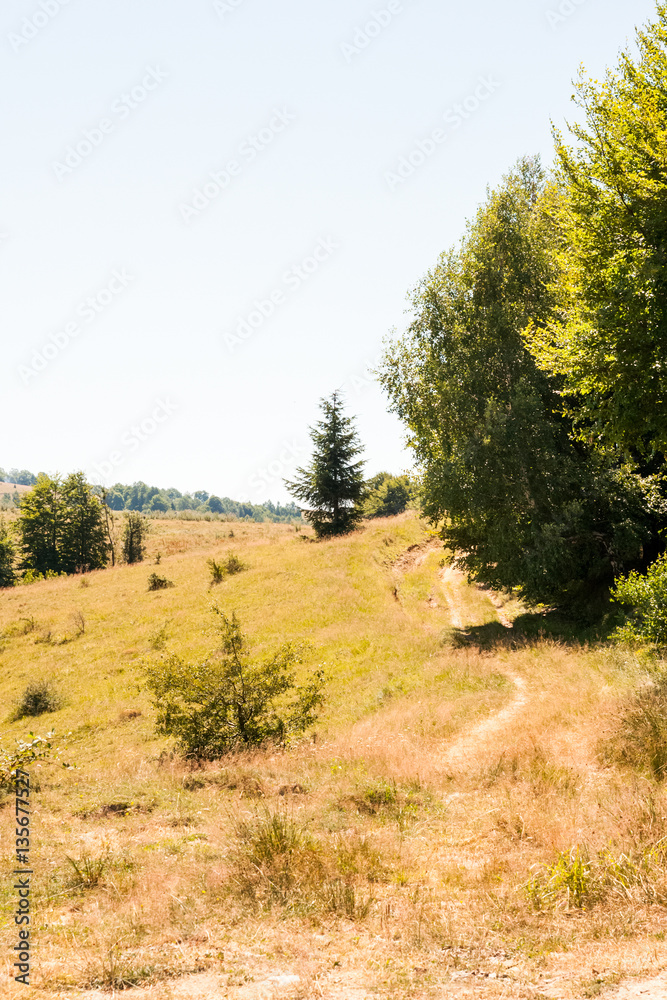 Obraz premium Romanian mountain landscape