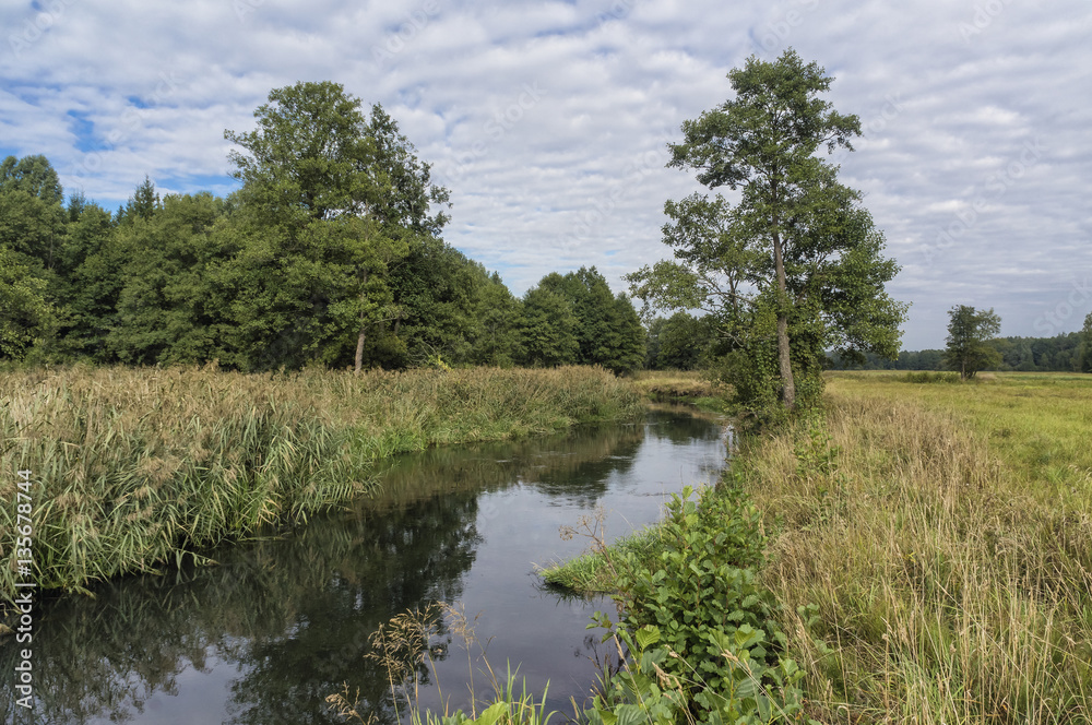 Little beautiful forest river. Little beautiful forest river.