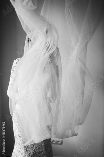 Veil flies around bride looking through it