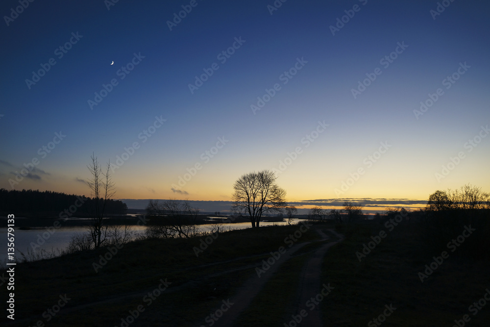 Silhouettes of trees over the lake. Evening. Silhouettes of trees over the lake. Evening.