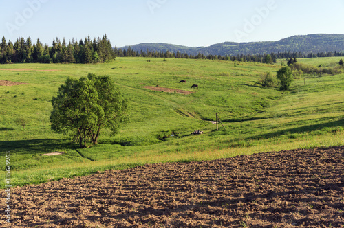 Rural landscape in a mountain valley.