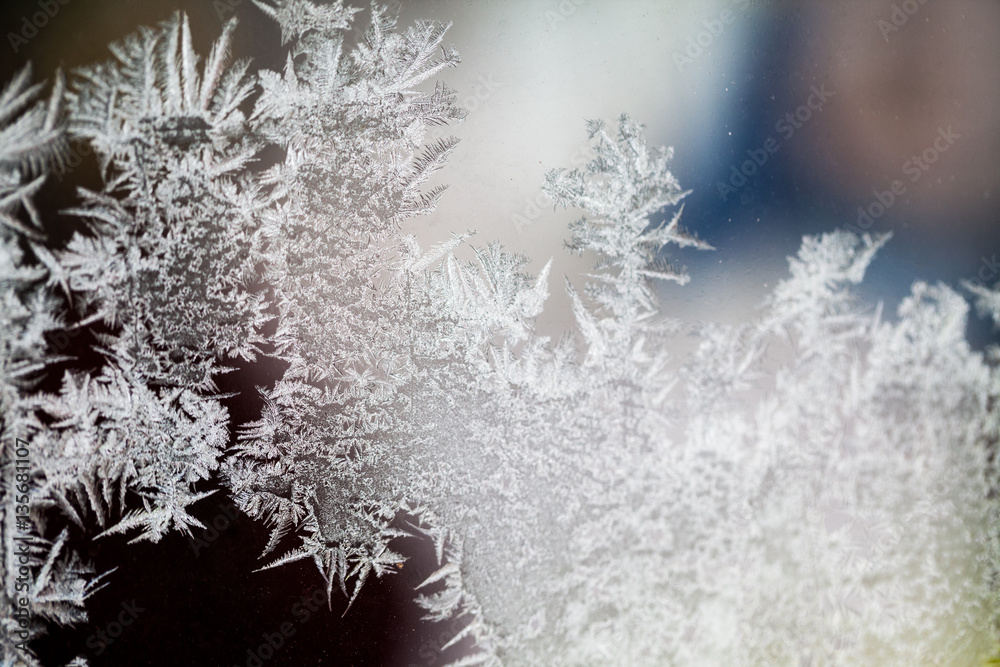 Ice flowers on glass - texture and background Ice flowers on glass - texture and background