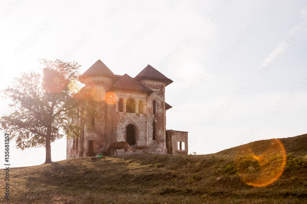 Fototapeta premium Ruined house with tree next to it in the field