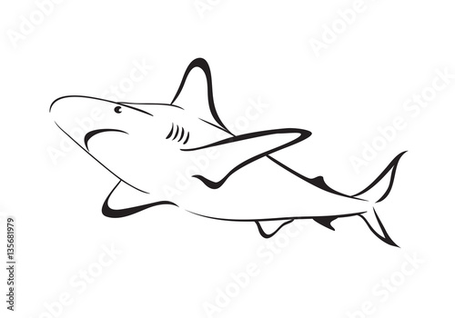 Shark vector outline icon.