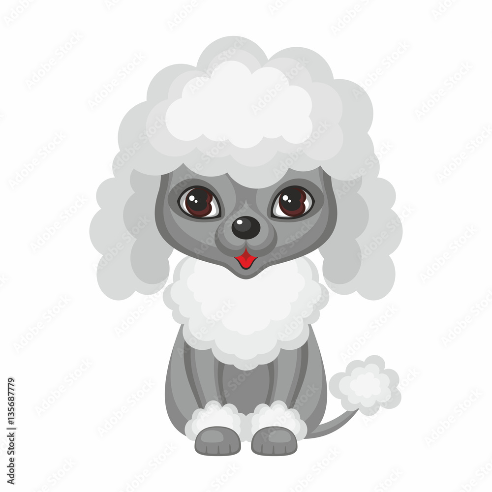 Poodle. Vector image of a cute purebred dogs in cartoon style. Poodle. Vector image of a cute purebred dogs in cartoon style.