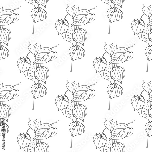 Physalis vector illustration isolated on white background. Seamless pattern. Floral ornament design texture for paper, package tea, cosmetic, wallpaper, textile, natural eco product