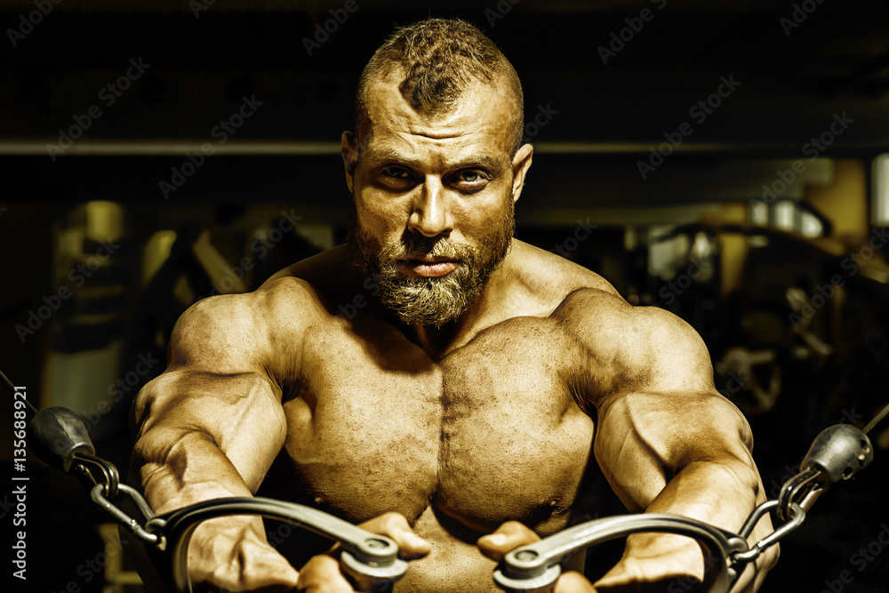 handsome bearded bodybuilding man handsome bearded bodybuilding man