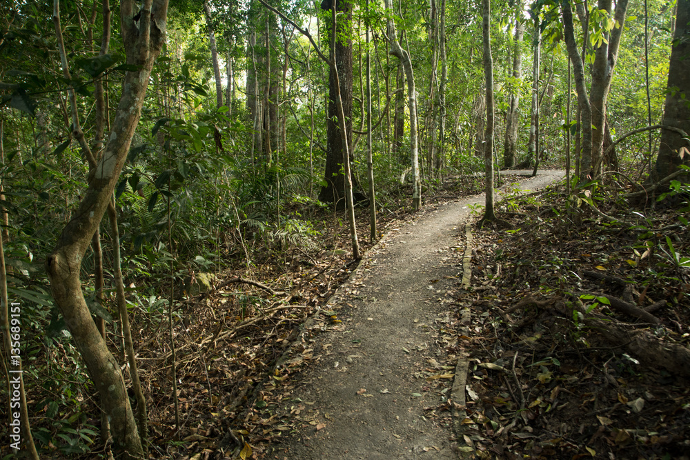 Obraz premium Trekking path in autumn