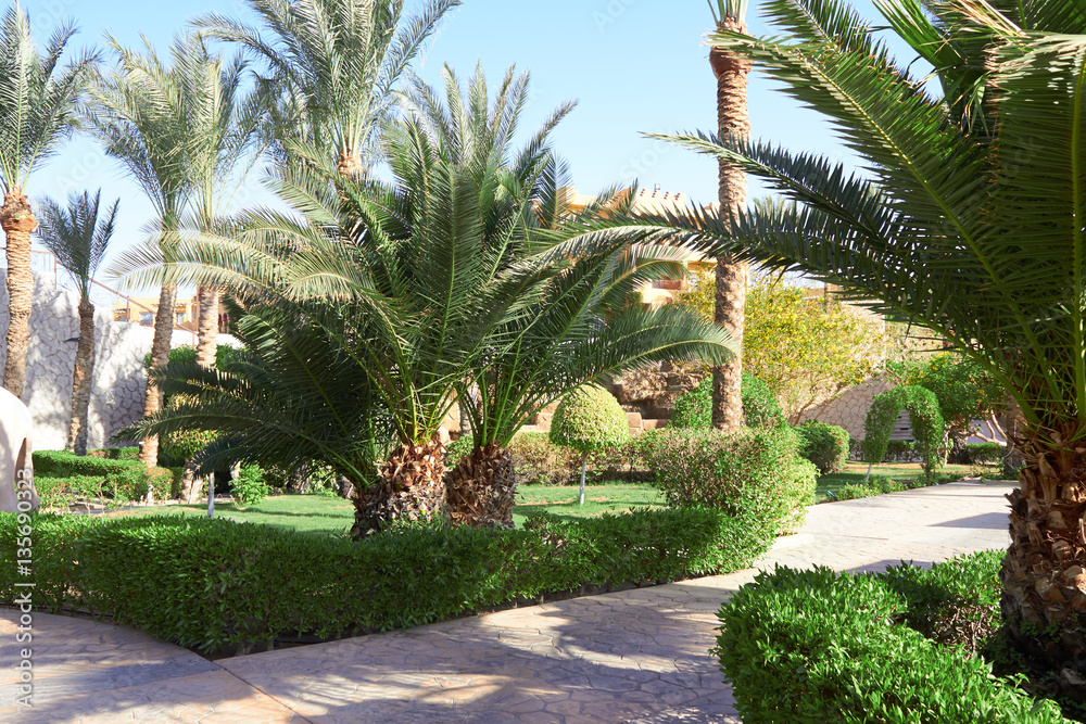 Fototapeta premium luxury resort hote