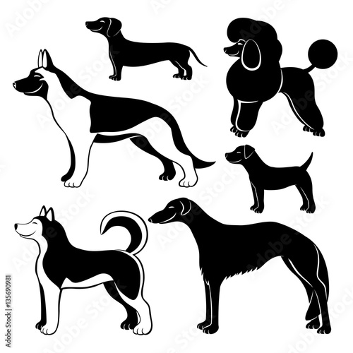 Cute dogs.