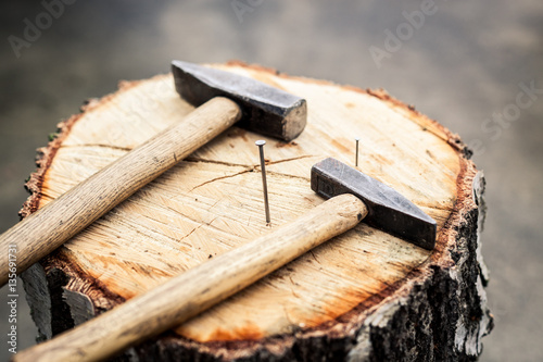 Hammer und Nägel auf Baumstamm photo