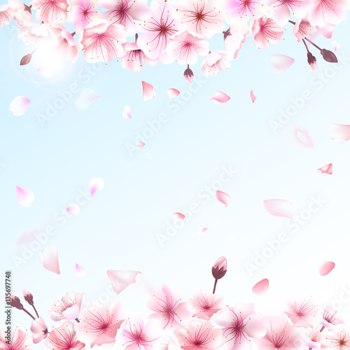 Blooming cherry. Spring background. Falling sakura pink petals. EPS 10 vector © artabramova