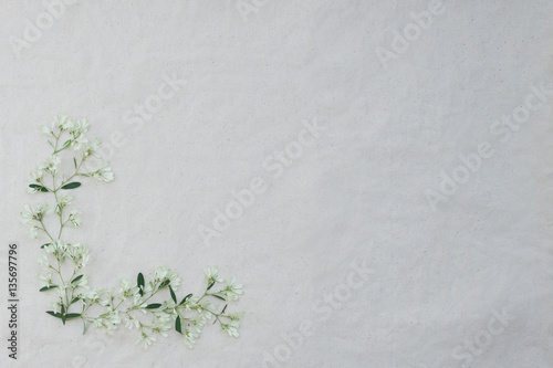 Flower frame of white Christmas flowers and green leaves on white muslin fabric with copy space from top view