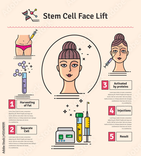 Vector Illustrated set with cosmetology stem cell facelift