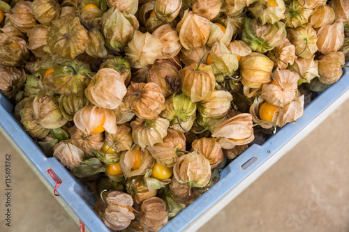 Cape Gooseberry in the market photo