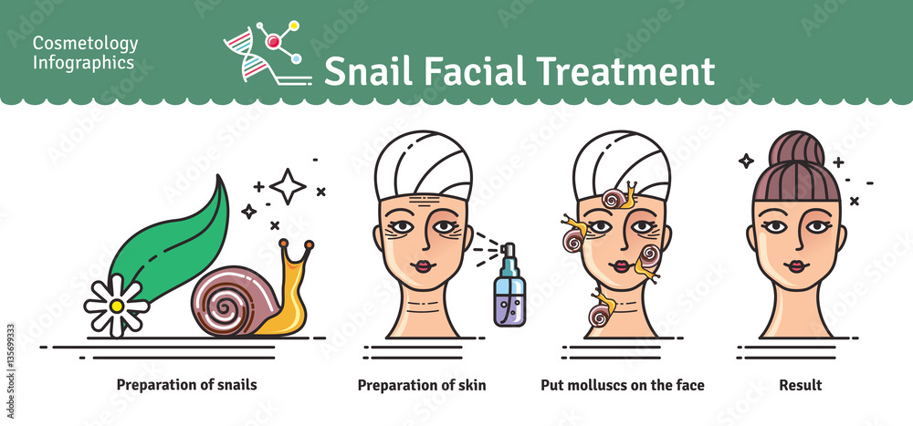 Vector Illustrated set with salon snail facial treatment Vector Illustrated set with salon snail facial treatment