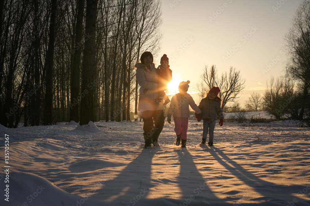Fototapeta premium Winter season.