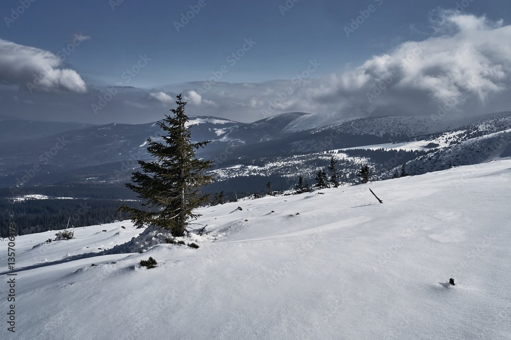 Winter landscape  in the Giant Mountains in Poland.