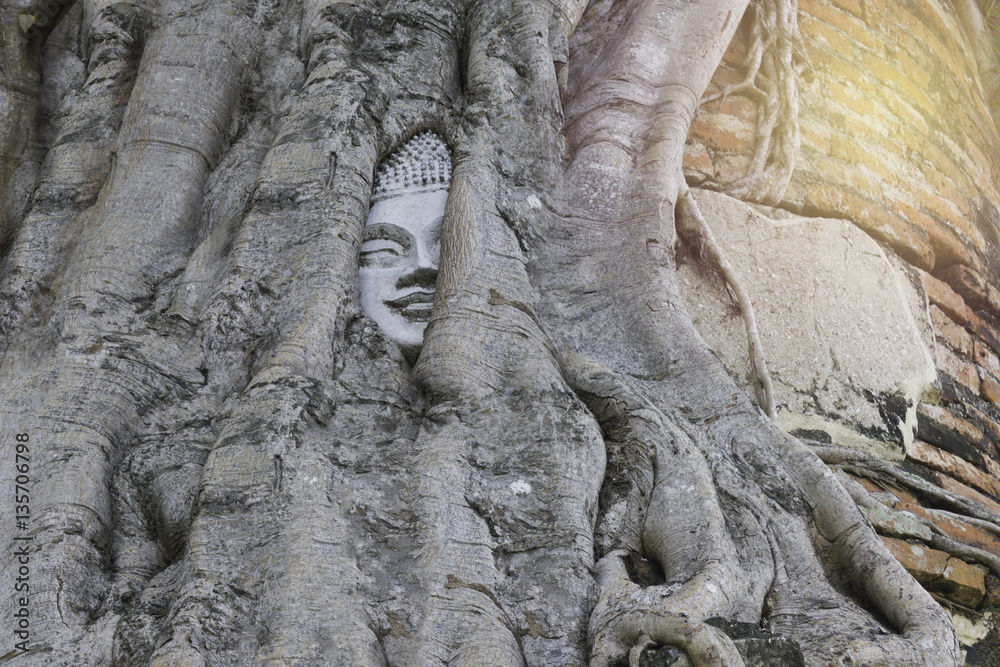 Unseen Thailand Head of Sandstone Buddha within Tree Roots at Wat Mahathat, Ayutthaya, Thailand