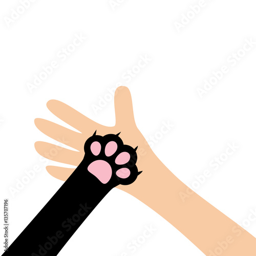 Hand arm holding cat dog paw print leg foot. Close up. Help adopt animal pet donate concept. Friends forever. Veterinarian care. Veterinary vet doctor. Flat. White background. Isolated.