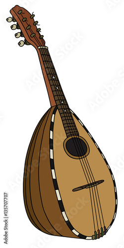 Vintage italy mandolin