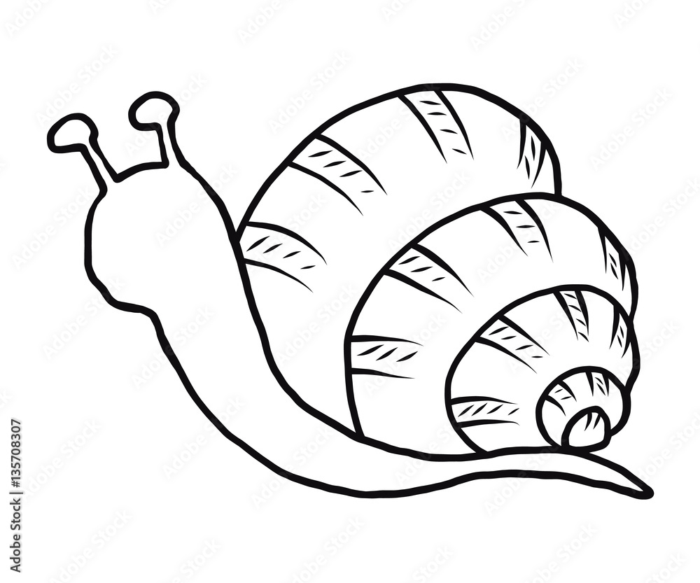 snail / cartoon vector and illustration, black and white, hand drawn, sketch  style, isolated on white background. Stock Vector | Adobe Stock