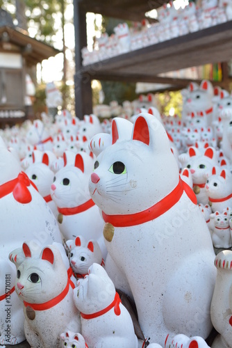 Manekineko  photo