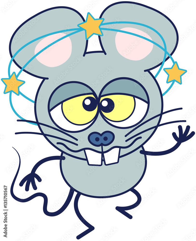 Cute gray mouse in minimalistic style with huge rounded ears, bulging eyes and big teeth while showing yellow stars turning around its head, walking unsteadily and keeping balance when feeling dizzy