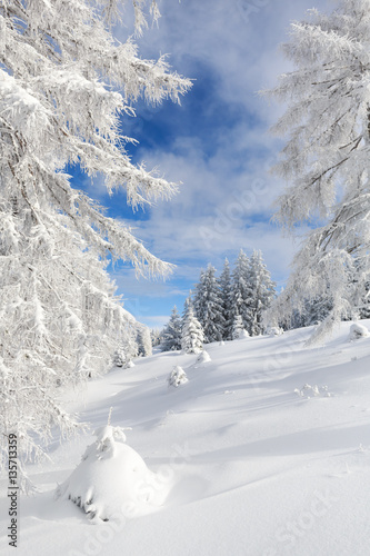 Winter in den   sterreichischen Alpen