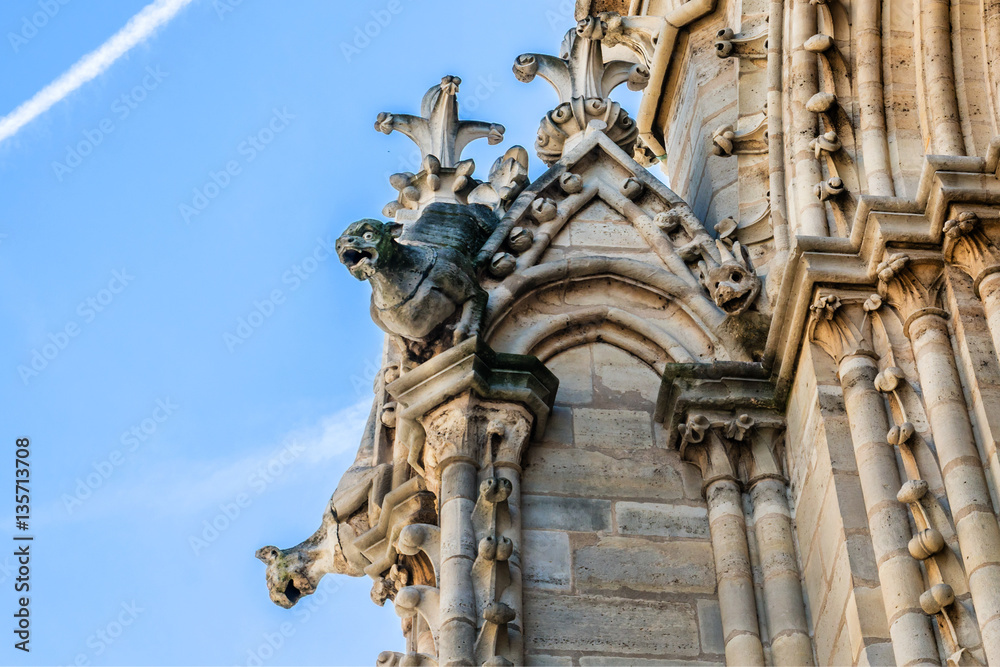 Notre Dame de Paris: Famous Stone demons gargoyle and chimera.