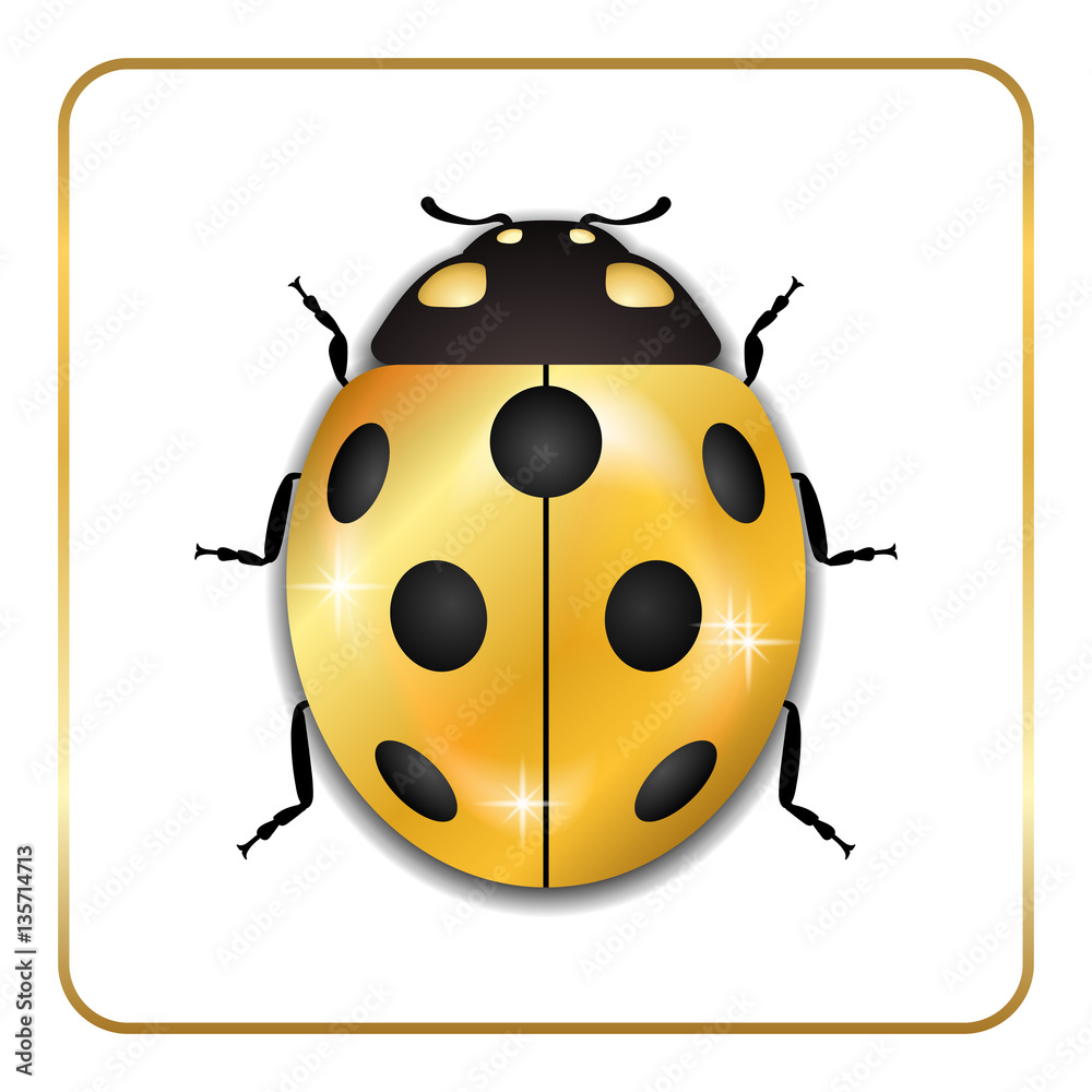 Obraz premium Ladybug gold insect small icon. Golden lady bug animal sign, isolated on white background. 3d volume design. Cute jewelry ladybird design. Cartoon lady bird closeup beetle. Vector illustration