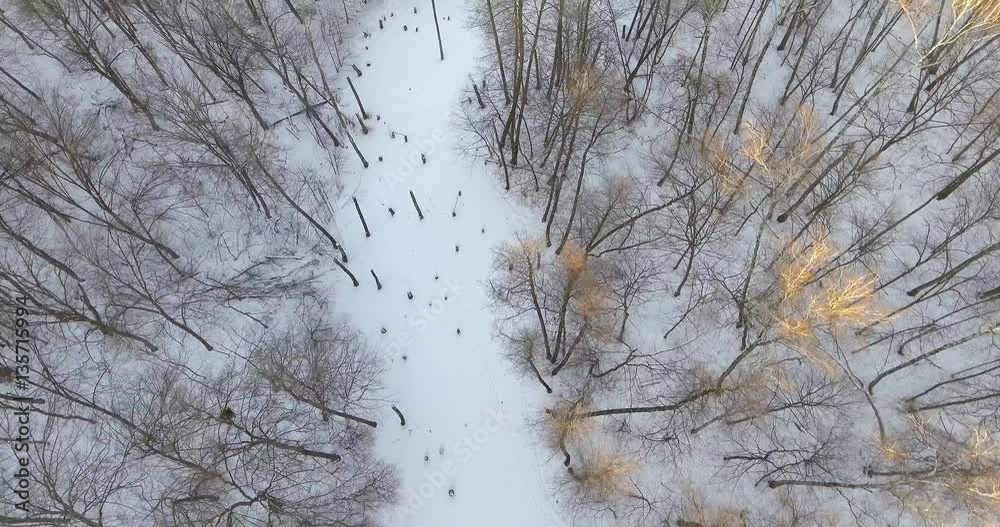 Aerial View. Flight over the beautiful winter river and forest. Nature in winter. Landscape panorama. Ukraine Aerial View. Flight over the beautiful winter river and forest. Nature in winter. Landscape panorama. Ukraine
