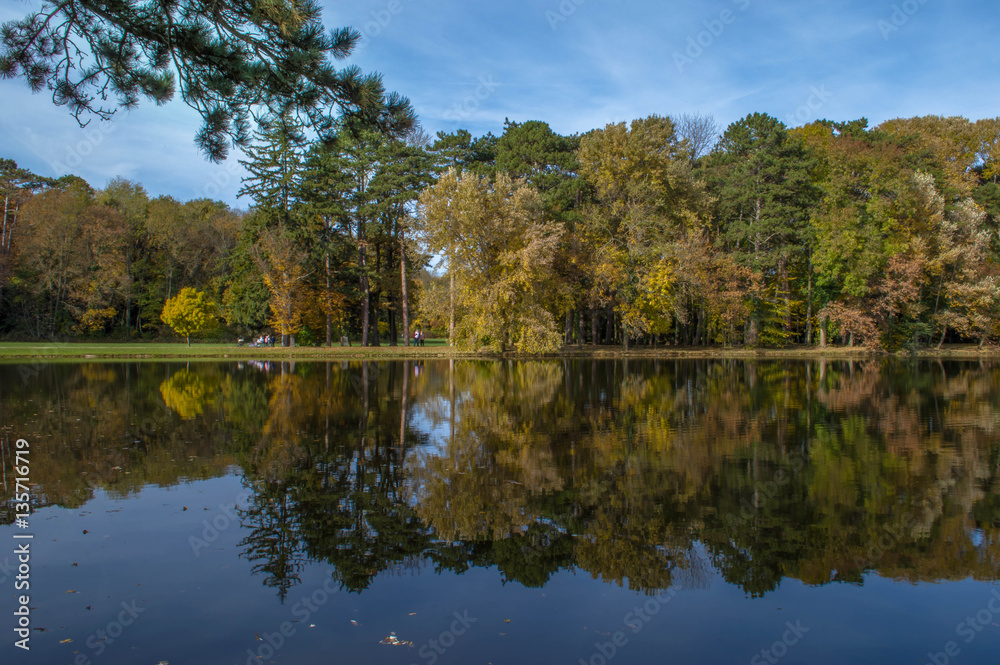 Schlosspark. Herbst. Schloss. Burg. Herbs im Wald.