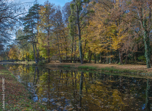 Schlosspark. Herbst. Schloss. Burg. Herbs im Wald.