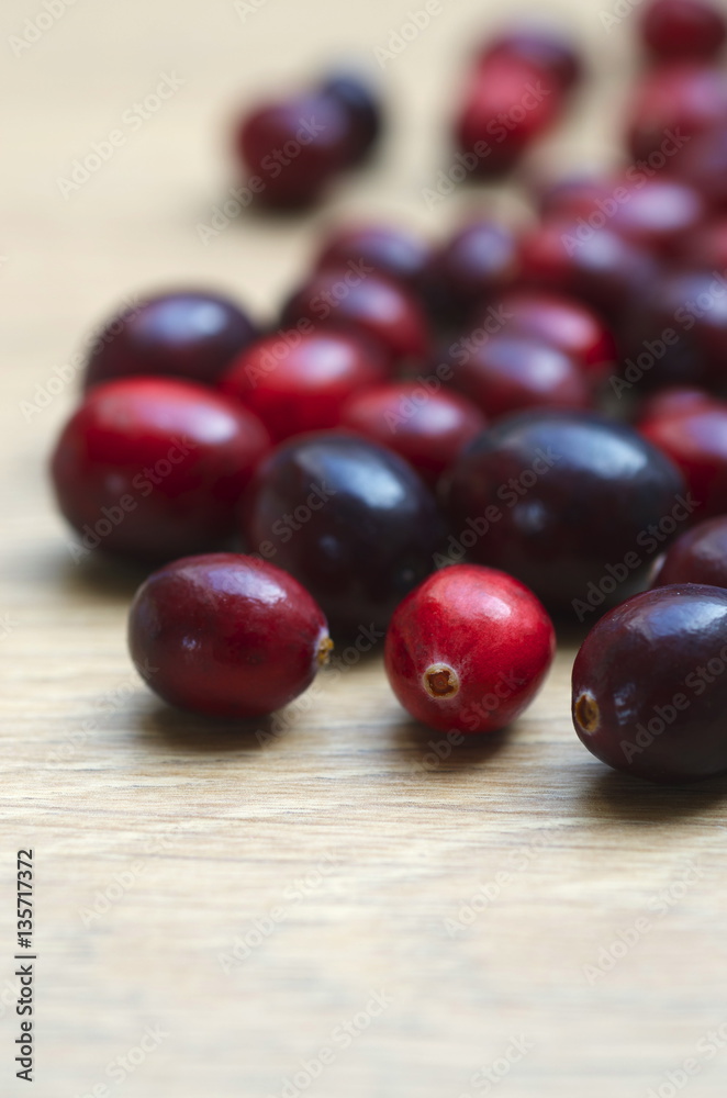 Cranberry Cranberry