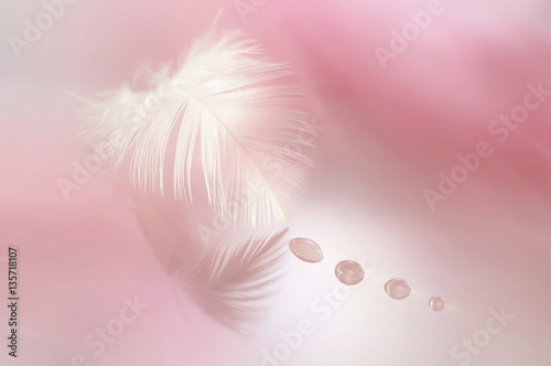 Beautiful white feather with drops on a blurred background of pink.