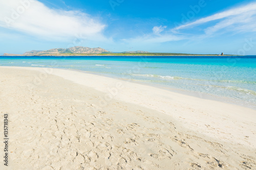 white sand in La Pelosa beach