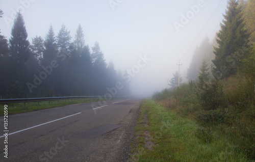 Road and fog