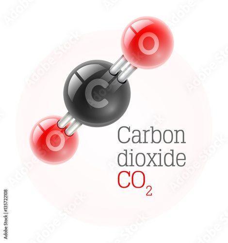Chemical model of carbon dioxide gas molecule vector