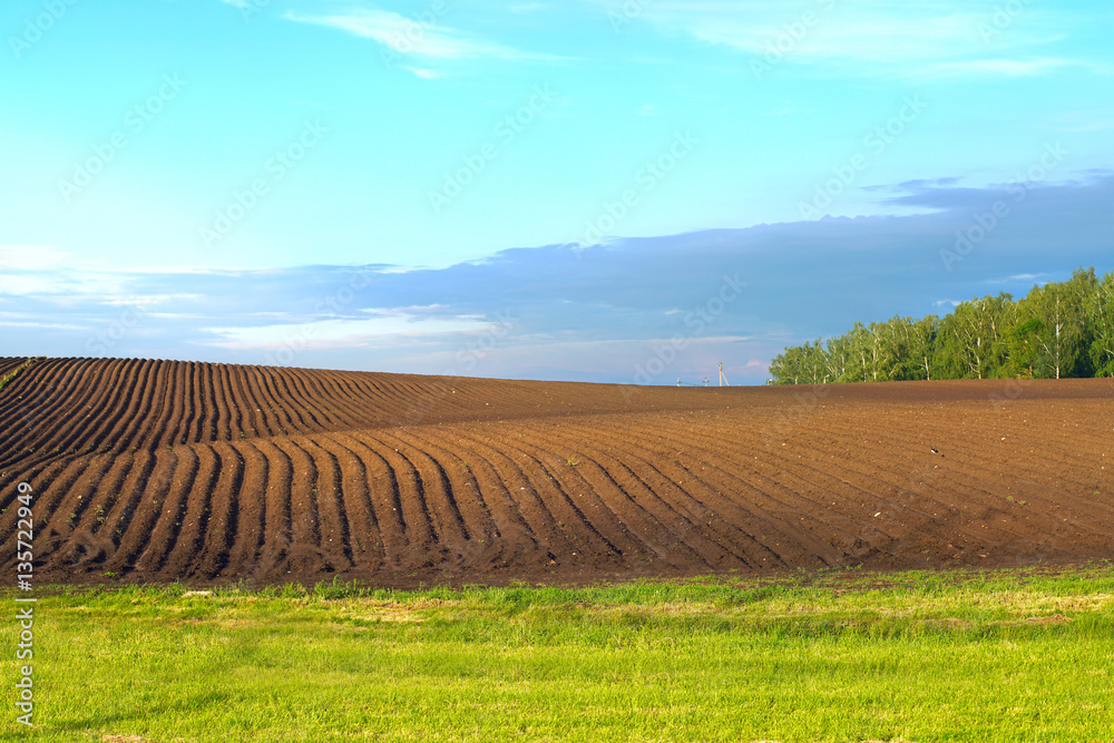 Furrows a plowed field prepared for planting crops in spring. Horizontal view landscape with clouds on blue sky in perspective. Agriculture sowing seeds and cultivating field on sunny day.