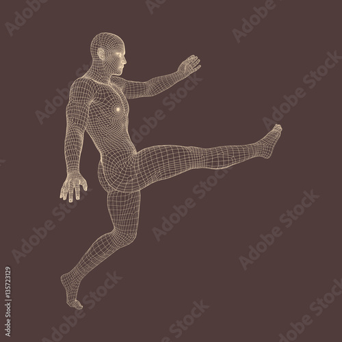 Football player. Sports concept. 3D Model of Man. Human Body. 